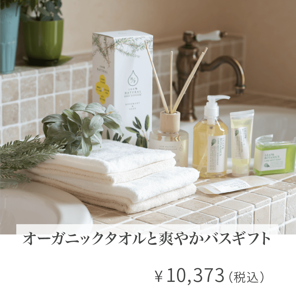 アミングサマーギフト お中元