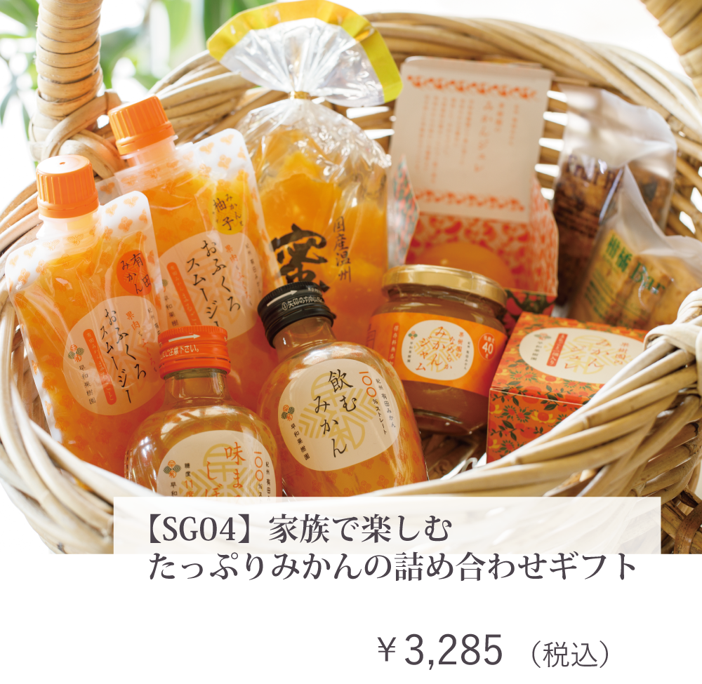 アミングサマーギフト お中元
