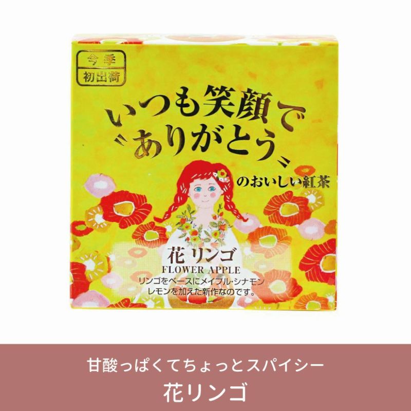 MLESNA TEA（ムレスナティー） 選べる1フレーバー＆クッキーのセット リボンラッピング