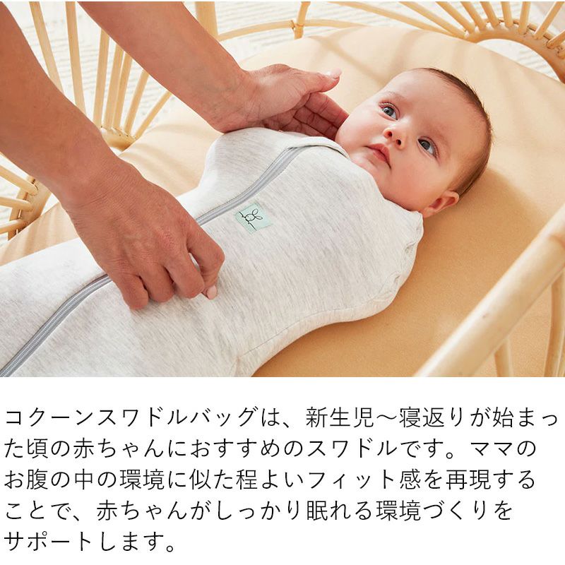 大きな 鉄の トレイ 古道具 アンティーク オブジェ 鉄製トレー（ドイツ 