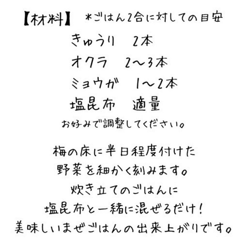 てらがき農園 三年熟成 そのまんま梅の床 てんさい糖 250g／梅床／浅