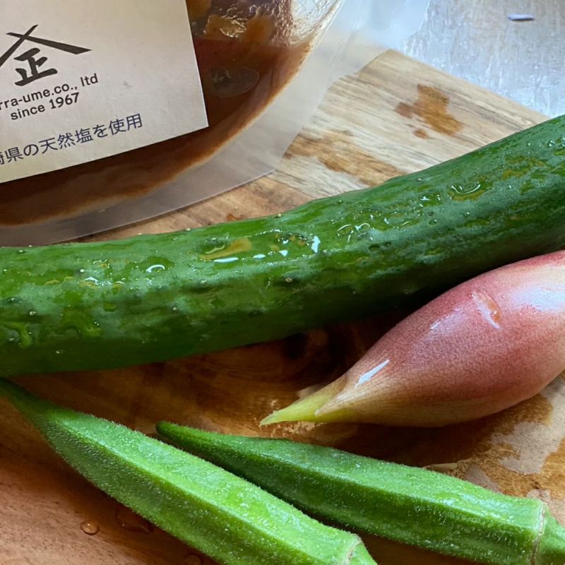 てらがき農園 三年熟成 そのまんま梅の床 てんさい糖 250g／梅床／浅