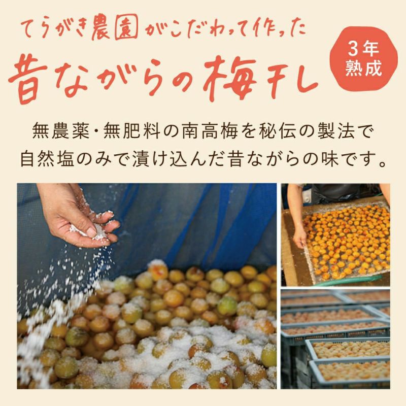 てらがき農園 三年熟成 昔梅500g | Amingオンラインショップ