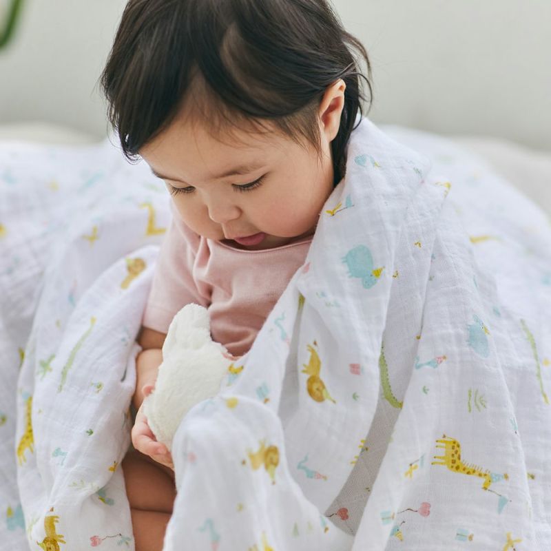aden+anais（エイデンアンドアネイ）【日本正規品】モスリン