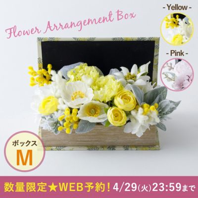 商品一覧 | Amingオンラインショップ